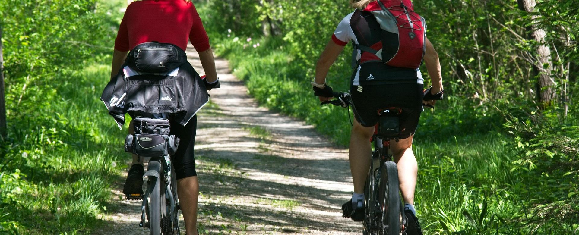 Bicycle Equipment Store 16 Bicycle Equipment Store -Bicycle Equipment Store to go biking 2520007 1920